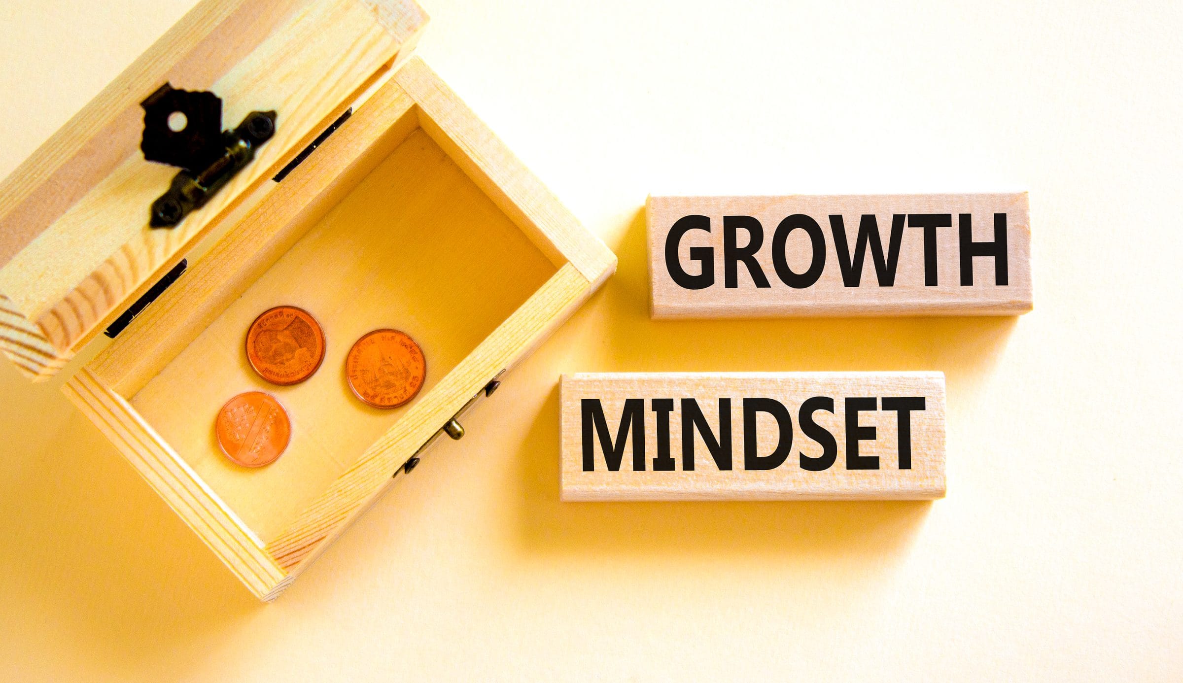 The Abundance Mindset Course