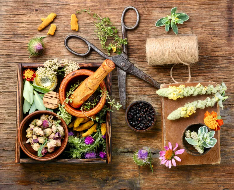 Herbal Alternatives